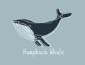 Single continuous line drawing of humpback whale for marine company logo identity