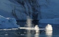 Whales in Greenland 1