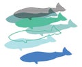 Whales, Illustration Digital,