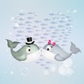 Whales in love