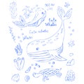 whales, turtle, seashells and algae hand drawn in contours