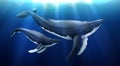 Whales Under Water Realistic Background