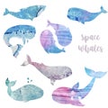 Whales watercolor texture animal watercolor splash abstract texture character drawing illustration geometric clip art for birthday