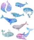 Whales watercolor texture animal watercolor splash abstract texture character drawing illustration geometric clip art for birthday