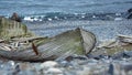 Whaling boat on the beach in Antarctica Royalty Free Stock Photo