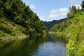 Whanganui river and its shore Royalty Free Stock Photo