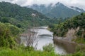 Whanganui River at misty day Royalty Free Stock Photo