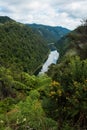 Whanganui River Royalty Free Stock Photo