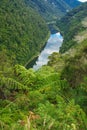 Whanganui River Royalty Free Stock Photo