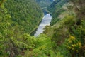 Whanganui River Royalty Free Stock Photo