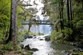 Whangarei Falls