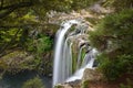 Whangarei Falls located in Whangarei, New Zealand