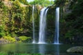 Whangarei Falls, New Zealand Royalty Free Stock Photo