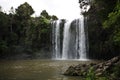 Whangarei falls Royalty Free Stock Photo