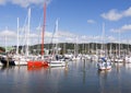 Whangarei Town Basin - NZ