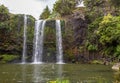 Whangarei waterfall. North island. New Zealand Royalty Free Stock Photo