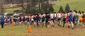 The first quarter mile of a champiopnship cross country race