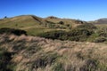 Wharariki Beach