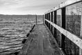Wharf or jetty extending out over a lake with reeds to one side in black and white Royalty Free Stock Photo