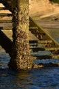 Wharf wooden stairs Royalty Free Stock Photo