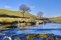 Wharfe river Royalty Free Stock Photo