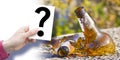 What is alcoholism? - Learn about an alcohol addiction - Doubts and uncertainties about alcoholism Royalty Free Stock Photo