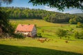 What a beautiful region, the Odenwald