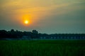 When the sun goes down, when the evening falls between the vast paddy fields