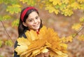 What a beauty. cheerful girl with yellow maple leaves. happy kid enjoy fall weather. small girl in autumn leaves. fall