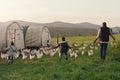 What childhood dreams are made of. Rearview shot of a man and his two adorable children exploring a chicken farm.