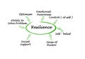 What contribute to resilience