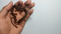 a photo of a person holding a heart-shaped brown bracelet Royalty Free Stock Photo