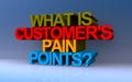 what is customer\'s pain points on blue