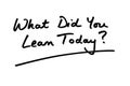 What Did You Learn Today Royalty Free Stock Photo
