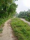Green road