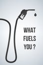 What fuels you banner. Gasoline pump nozzle sign.Gas station icon. Flat design style. Vector illustration. Royalty Free Stock Photo