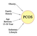 Polycystic Ovarian Syndrome