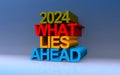 2024 what lies ahead on blue