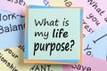 What is my life purpose concept Royalty Free Stock Photo