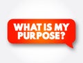 What Is My Purpose question text message bubble, concept background