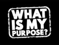 What Is My Purpose question text stamp, concept background