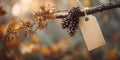 What natural autumn elements and a blank rustic tag adorn this branch, offering ample copy space for text? Royalty Free Stock Photo