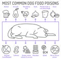 What is poisonous to dogs. Editable vector illustration