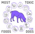 What is poisonous to dogs. Editable vector illustration