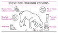 What is poisonous to dogs. Editable vector illustration