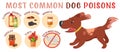 What is poisonous to dogs. Editable vector illustration