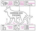 What is poisonous to dogs. Editable vector illustration