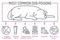 What is poisonous to dogs. Editable vector illustration