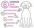 What is poisonous to dogs. Editable vector illustration