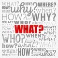 WHAT? - Questions word cloud background